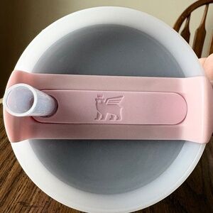 Strawberry Shortcake 40 oz. Stanley Tumbler